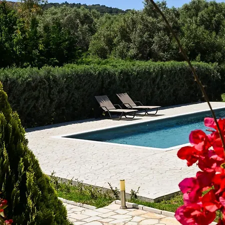 Violet Luxury * Kalligoni